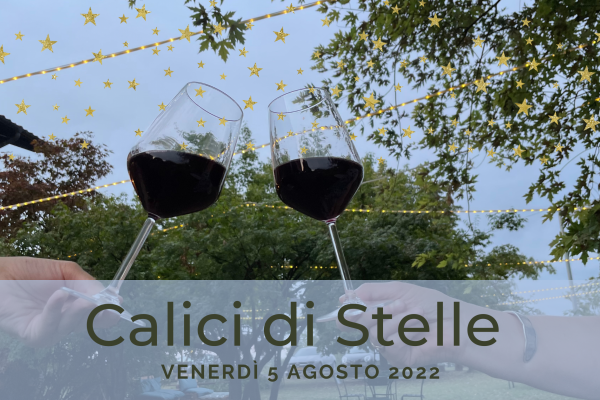 CALICI DI STELLE