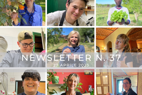 NEWSLETTER  N. 37