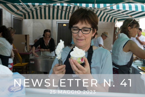 NEWSLETTER  N. 41