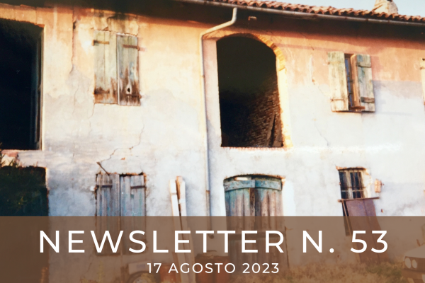 NEWSLETTER  N. 53