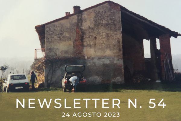 NEWSLETTER  N. 54