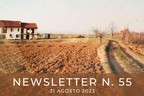 NEWSLETTER  N. 55