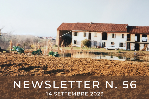 NEWSLETTER  N. 56