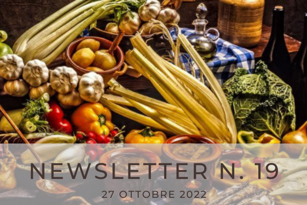 NEWSLETTER N. 19