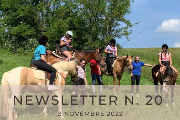 NEWSLETTER N. 20