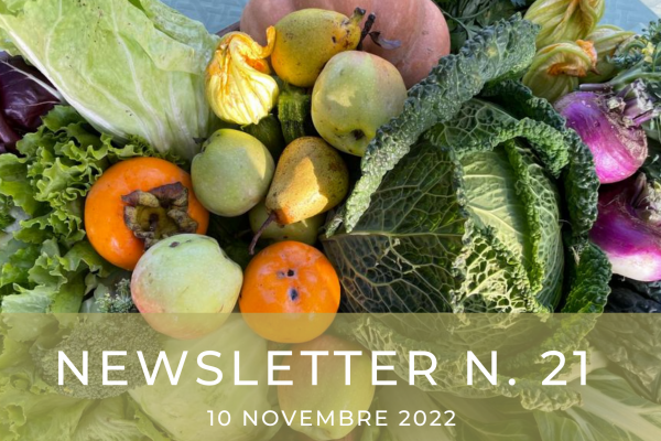 NEWSLETTER N. 21