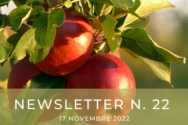 NEWSLETTER N. 22