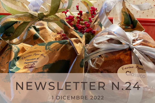 NEWSLETTER N. 24