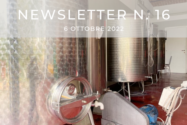 NEWSLETTER N. 16