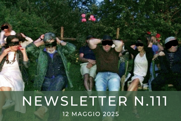 NEWSLETTER N. 111