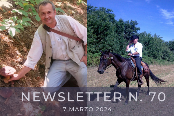 NEWSLETTER  N. 70