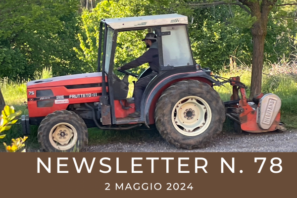 NEWSLETTER N. 78