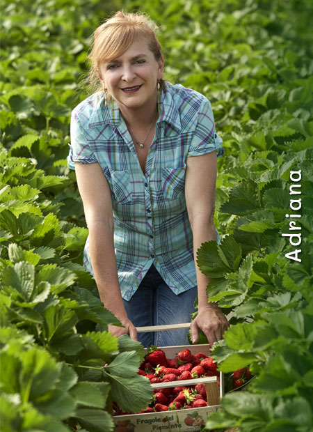 L'azienda agricola